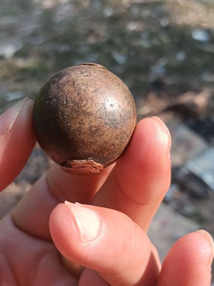 ลูกอมผงพุทธคุณ