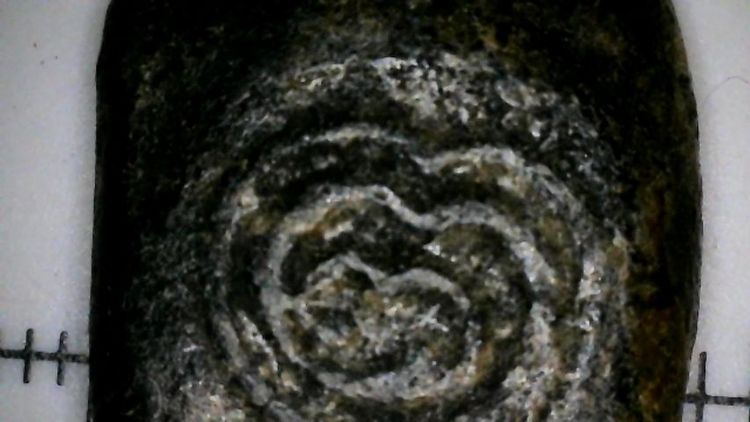 เหรียญประภามณฑลรัศมีข้างหลวงปู่ศุขวัดปากคลองมะขามเฒ่า รูปที่ 2