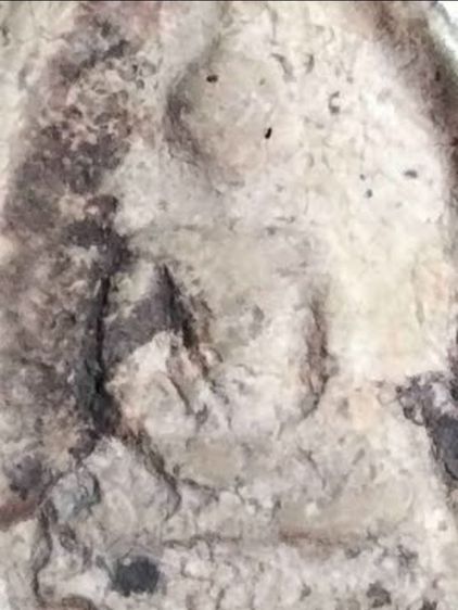 พระสมเด็จพิมพ์ใหญ่ รูปที่ 3