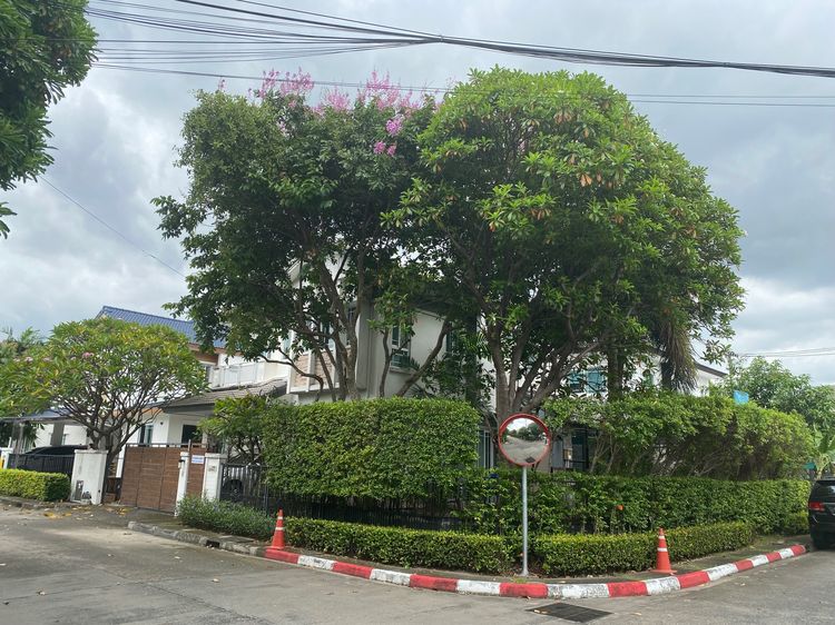 Land and Houses ตกแต่งครบ 2014 หมู่บ้านมัณฑนาศรีนครินทร์พระรามเก้า กรุงเทพกรีฑา7 รูปที่ 3