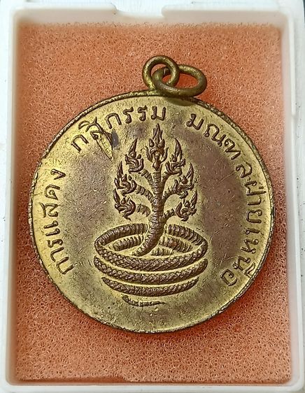 พระชินราชปี๒๔๖๐ รูปที่ 8