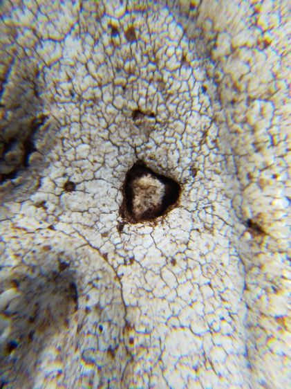 พระสมเด็จ วัดระฆัง พิมพ์ใหญ่A