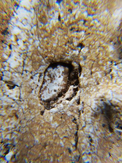 พระสมเด็จ วัดระฆัง พิมพ์ใหญ่A ผงเก่า บ่อน้ำตา หลังขอบปริหนอนด้น