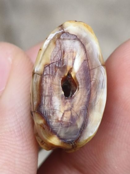 ส.หลวงพ่อปาน รูปที่ 10