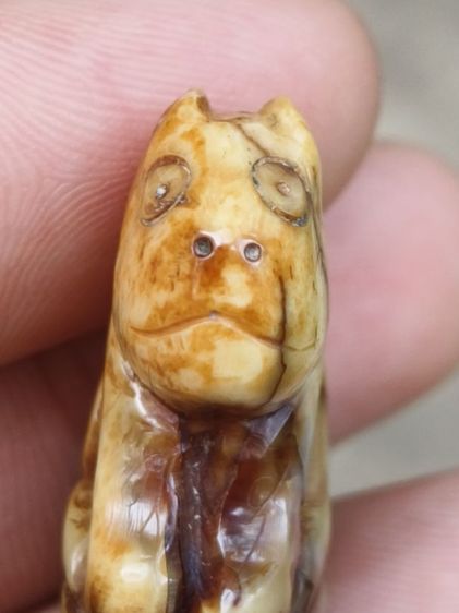 ส.หลวงพ่อปาน รูปที่ 6