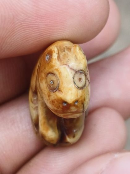 ส.หลวงพ่อปาน รูปที่ 8