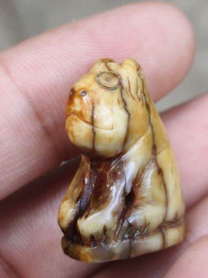 ส.หลวงพ่อปาน รูปที่ 5