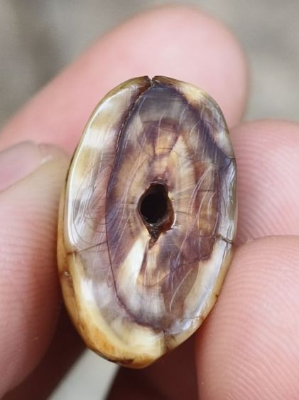 ส.หลวงพ่อปาน รูปที่ 9