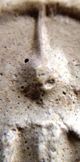 พระสมเด็จ วัดระฆัง บางขุนพรหม วัดเกศไชโย หลวงปู่ภู หลวงปู่นาค รูปที่ 14