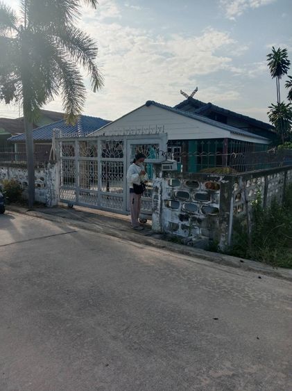 ไม่มี บ้านเดี่ยว รูปที่ 3