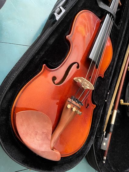 ไวโอลิน รูปที่ 2