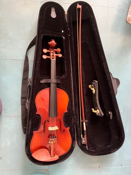 ไวโอลิน รูปที่ 3