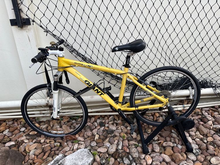 giant iguana mountain bike