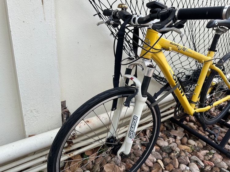 giant iguana mountain bike รูปที่ 4