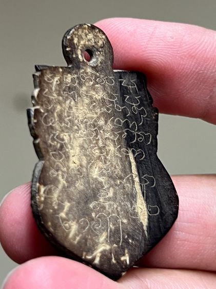 กะลาแกะ รูปที่ 3