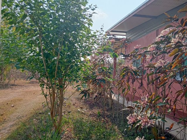 ขายที่ พร้อมบ้าน รูปที่ 3