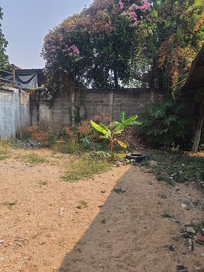 ที่ดินในคูเมืองเชียงใหม่ เนื้อที่ 102 ตรว.  เหมาะพัฒนาเป็น Boutique hotel หรือ Hostel ราคา 13.8 ล้าน (ยินดีรับพิจารณาข้อเสนอซื้อ)