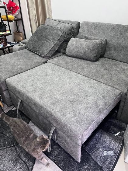 อื่นๆ เทา 4+ ที่นั่ง โซฟาเบด (ซ้าย)