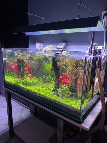 กระจก ตู้ไม้น้ำ 