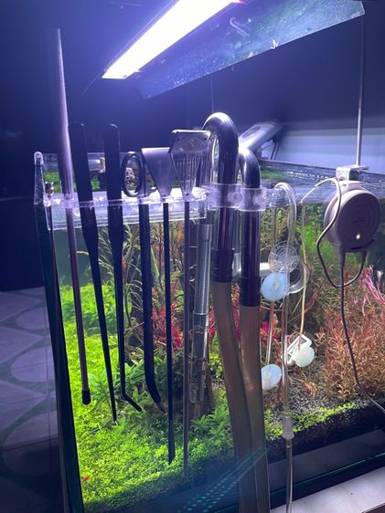 ตู้ไม้น้ำ  รูปที่ 3