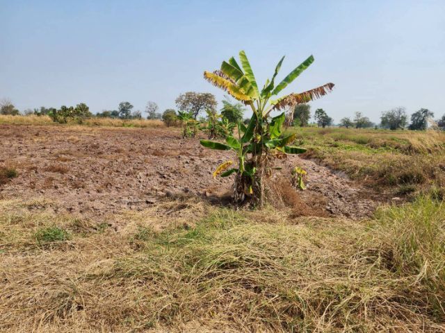 ขายที่เป็นสินทรัพย์ ที่มั่นคง รูปที่ 4