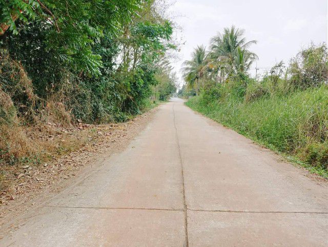 ใช่ ขายที่ดิน รูปที่ 4