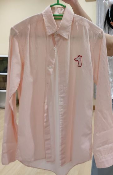 greyhound รูปที่ 3