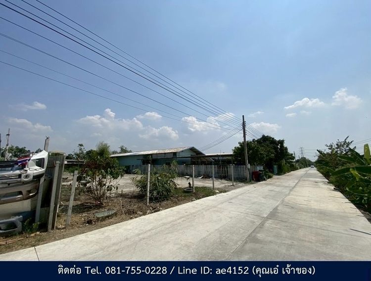 แบ่งขายที่ดิน 200 ตร.วา - 1 ไร่ ย่านพุทธมณฑลสาย 3 รูปที่ 4