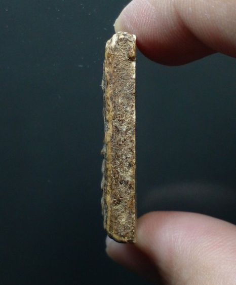 พระสมเด็จ พิมพ์เส้นด้าย รูปที่ 4