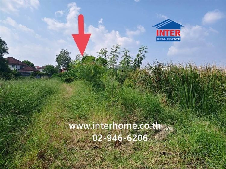 ที่ดินเปล่า 119 ตร.ว. ที่ดินซอยปู่เล็กย่าเปรื่อง ใกล้ตลาดเซฟวันโก แยก คปอ. ถนนพหลโยธิน ถนนเพิ่มสิน เขตสายไหม กรุงเทพมหานคร รูปที่ 2