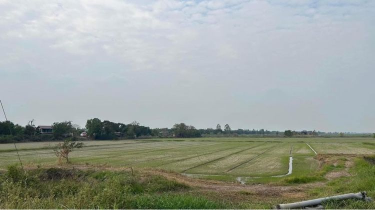 ไม่ใช่ ที่ดินติดถนน รูปที่ 2