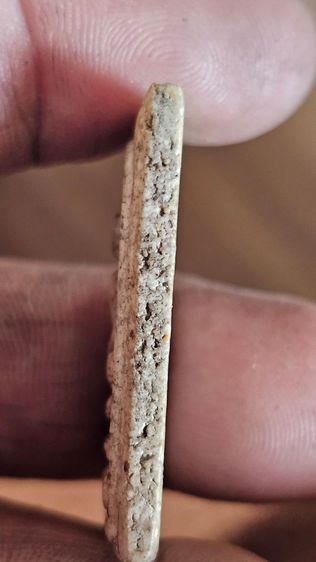 พระสมเด็จปรกโพธิ์ รูปที่ 9