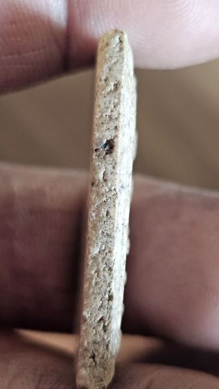 พระสมเด็จปรกโพธิ์ รูปที่ 8