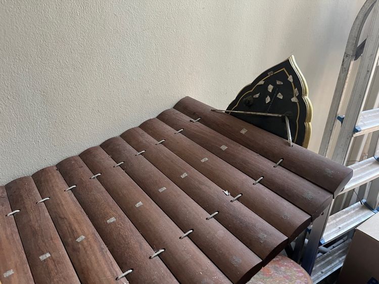 ระนาดเอก รูปที่ 6