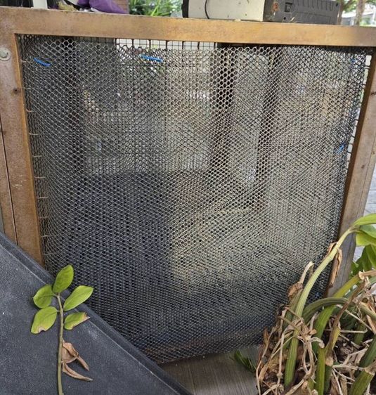 ต้องการขายกรงสัตว์ 
ขนาด 
ยาว 41.5 นิ้ว
ลึก32 นิ้ว
กว้าง 32 นิ้ว
มีมุ้งลวดขาดไป1ด้าน แต่มี ตาข่ายปิดให้
 รูปที่ 4