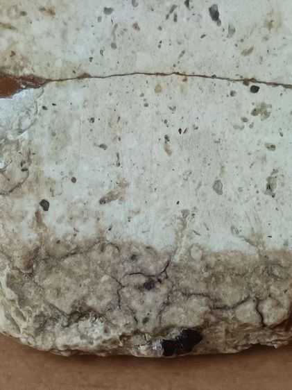 พระคงและพระสมเด็จ รูปที่ 11