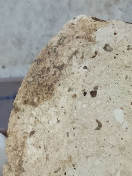 พระคงและพระสมเด็จ รูปที่ 9