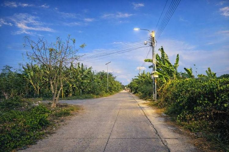ขายที่ดิน  ติดถนนคอนกรีต อำเภอบางเสาธง  สมุทรปราการ เข้า ออก ได้หลายเส้นทาง รูปที่ 4