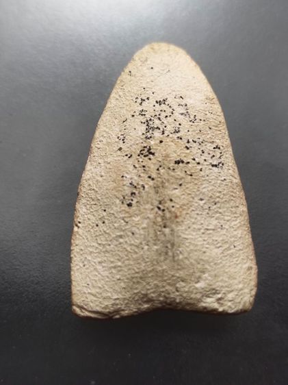 พระเนื้อผง หลวงปู่ทวด พิมพ์ใหญ่ เนื้อขาว วัดประสาทบุญญาวาส ปี 06 รูปที่ 4