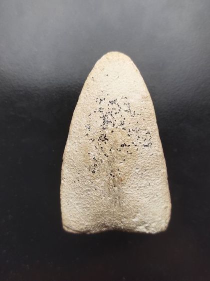 พระเนื้อผง หลวงปู่ทวด พิมพ์ใหญ่ เนื้อขาว วัดประสาทบุญญาวาส ปี 06 รูปที่ 3