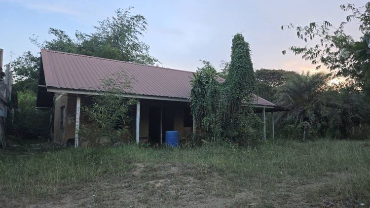 ใช่ ขายที่ดิน 850 ตรว. แถมบ้าน 2 หลัง ต.ท่าผา รูปที่ 3