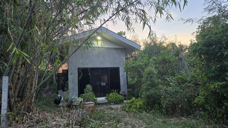 ใช่ ขายที่ดิน 850 ตรว. แถมบ้าน 2 หลัง ต.ท่าผา รูปที่ 2