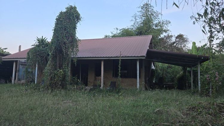 ใช่ ขายที่ดิน 850 ตรว. แถมบ้าน 2 หลัง ต.ท่าผา รูปที่ 4