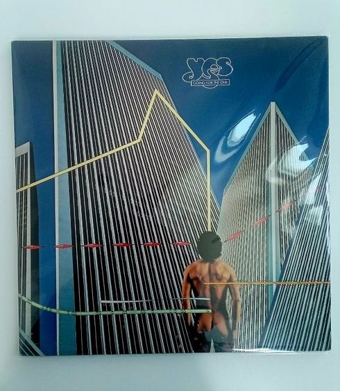 แผ่นเสียง รูปที่ 8