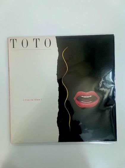 แผ่นเสียง รูปที่ 7