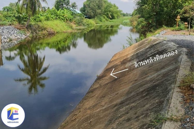 ที่ดินองครักษ์ เนื้อที่ 1 ไร่ 192.7 ตรว. อ.องครักษ์ ด้านหลังติดคลองกว้าง 60 เมตร ด้านหน้ากว้าง 64 เมตรติดถนนใหญ่ 4 เลน สาย 3001 รูปที่ 4