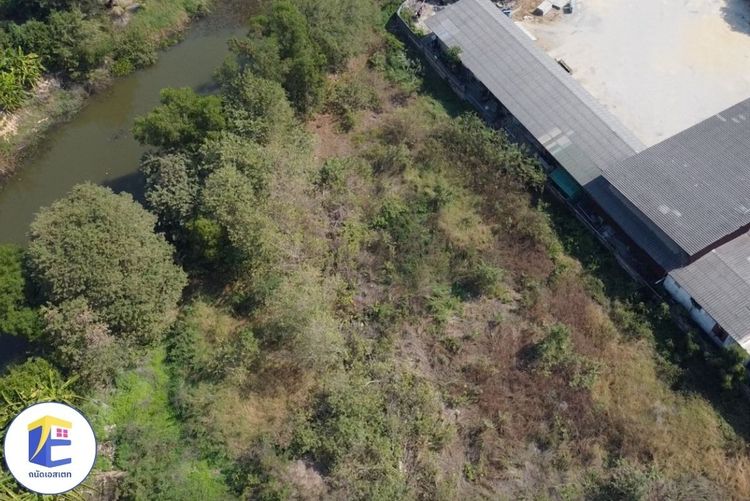 ที่ดินองครักษ์ เนื้อที่ 1 ไร่ 192.7 ตรว. อ.องครักษ์ ด้านหลังติดคลองกว้าง 60 เมตร ด้านหน้ากว้าง 64 เมตรติดถนนใหญ่ 4 เลน สาย 3001 รูปที่ 3