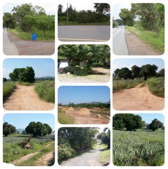 ขายที่ดินติดถนนใหญ่ หัวหิน-ปราณบุรี รูปที่ 4