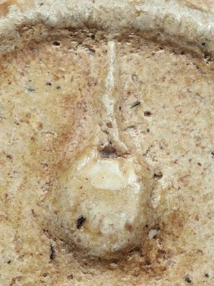 หนึ่งเดียว-หายาก เนื้อตุ๊บตั๊บ (Number One) ให้เช่าบูชาสมบัติบ้าน พระเบญจภาคี สมเด็จวัดระฆัง พิมพ์เจดีย์ มีมวลสาร สวยมาก รูปที่ 7