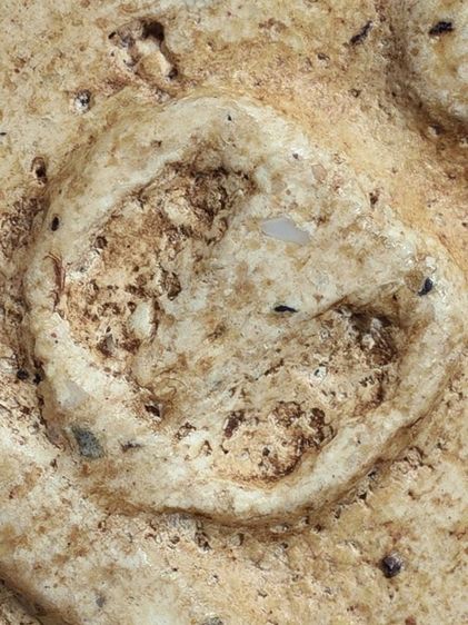 หนึ่งเดียว-หายาก เนื้อตุ๊บตั๊บ (Number One) ให้เช่าบูชาสมบัติบ้าน พระเบญจภาคี สมเด็จวัดระฆัง พิมพ์เจดีย์ มีมวลสาร สวยมาก รูปที่ 3